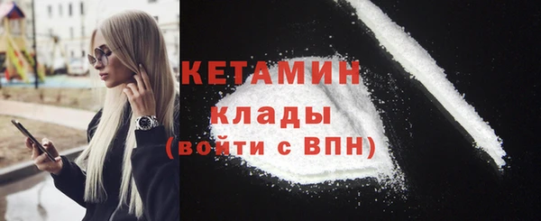 стаф Богданович