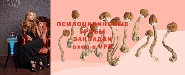 первитин Беломорск