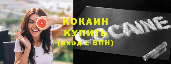 стаф Богданович