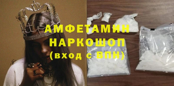стаф Богданович