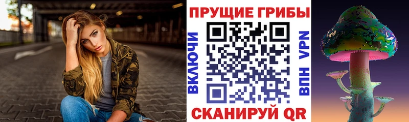 дарк нет формула  Болгар  Галлюциногенные грибы мицелий 